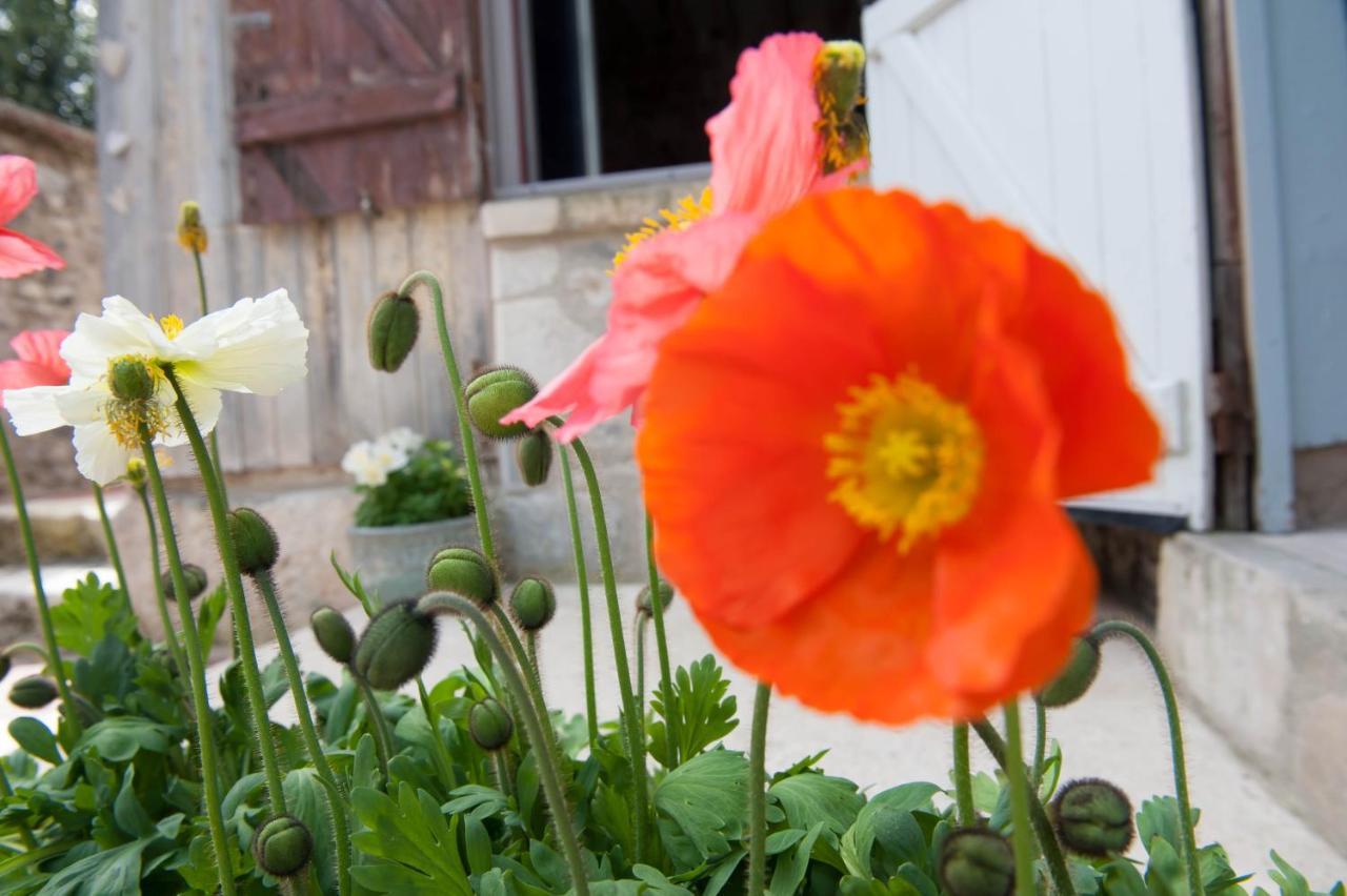 Guest house Capucine Honfleur